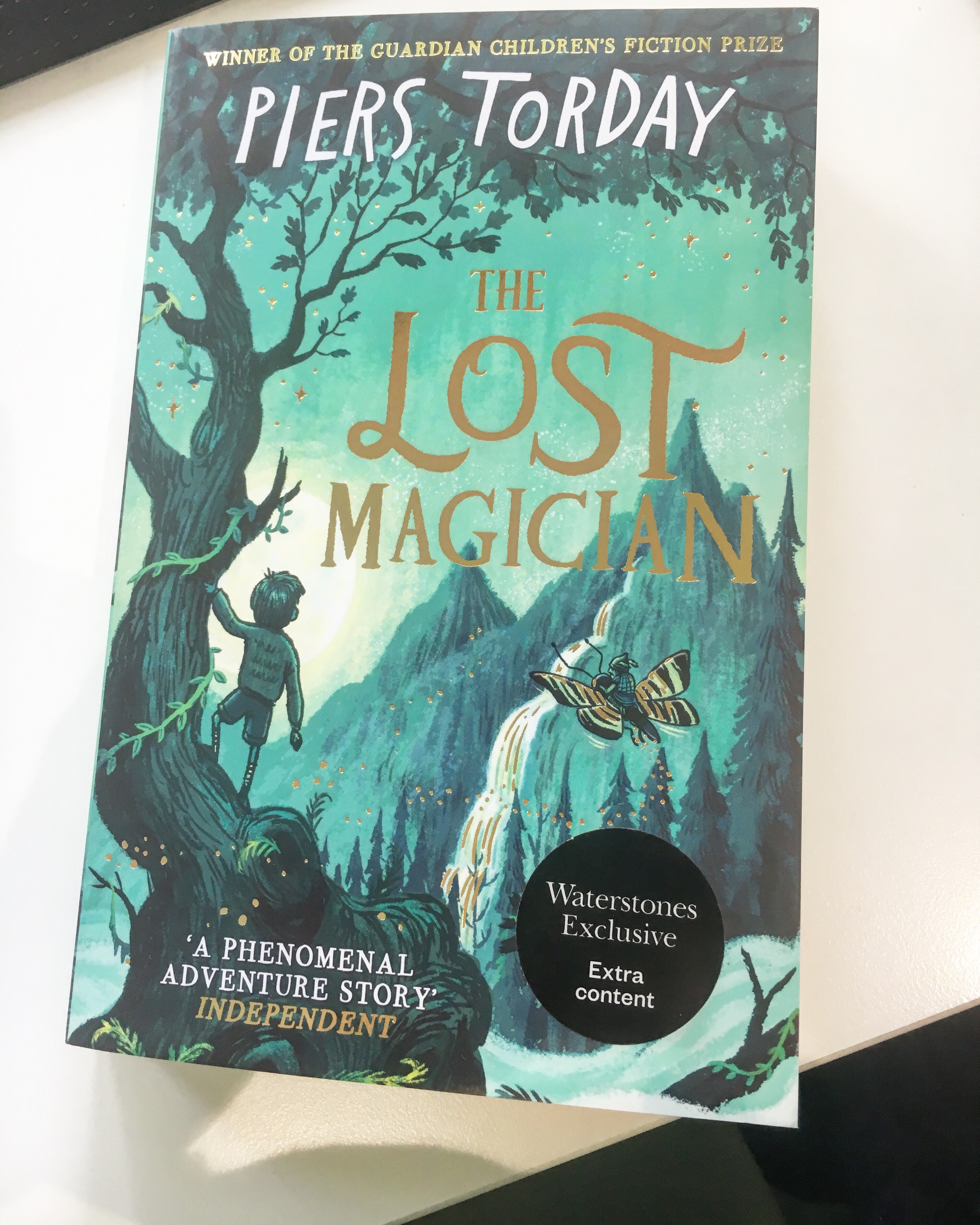 The Lost Magician by Piers Torday - book review - Nikki Young 