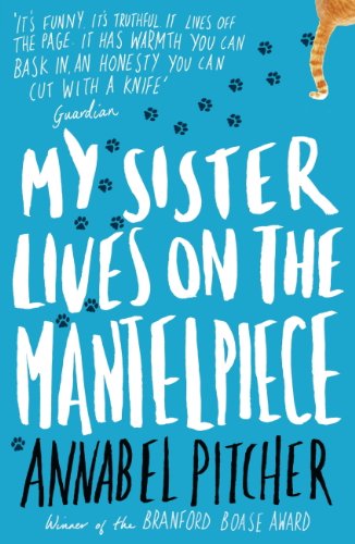 My Sister Lives on the Mantelpiece, book review - Nikki Young